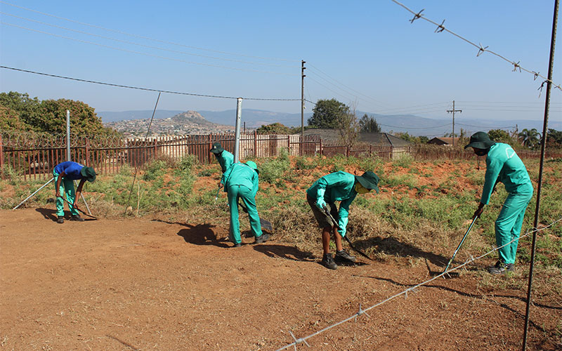 Farming Management.